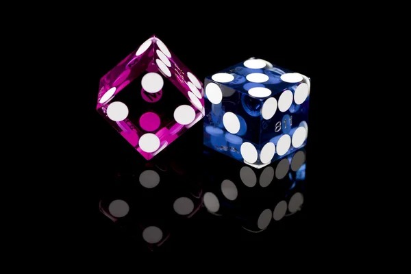 fif toto Texas Hold'em Bonus live dealer table with community cards and betting layout